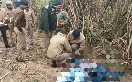 खेत पर गन्ना छीलने को गए युवक की दिन दहाड़े सिर पर गोली मारकर हत्या, पुलिस ने की कार्रवाई शुरू