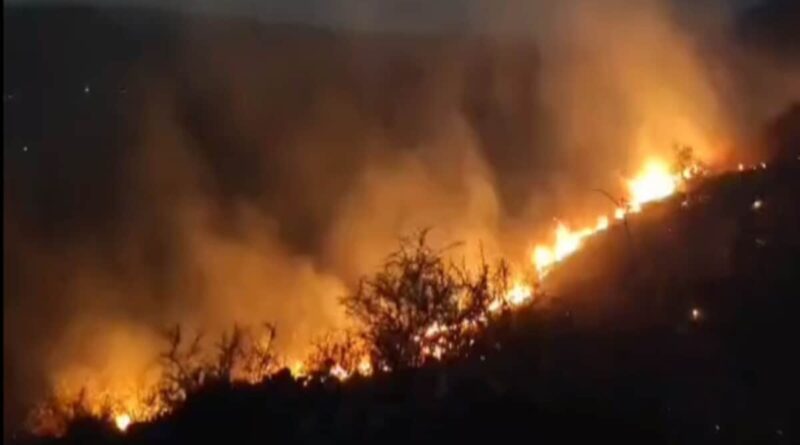 कत्यूर घाटी के जंगलों फिर लगी आग, आबादी का रुख करने लगे परेशान जंगली जानवर