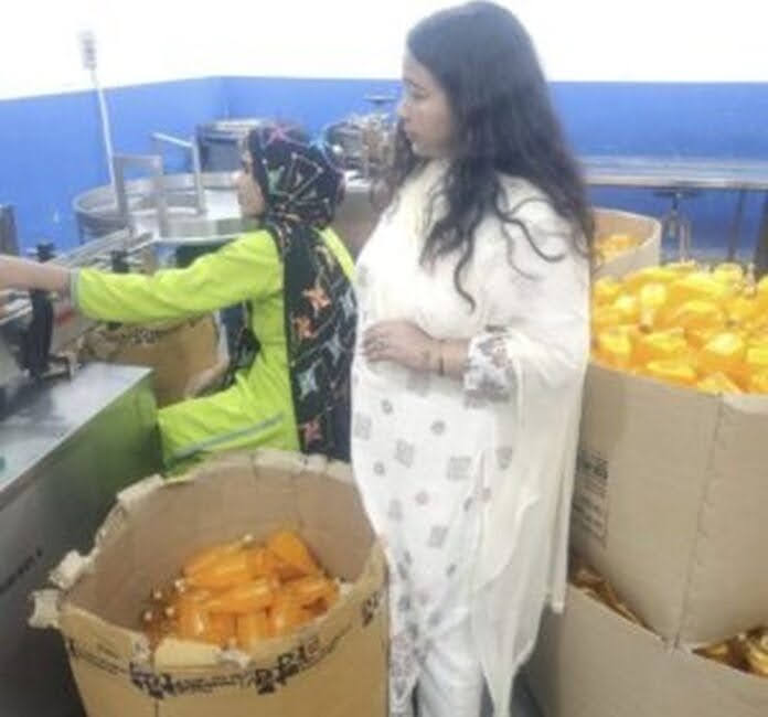 दवाओं के उत्पादन में हो रही थी मानकों की अनदेखी, ड्रग इंस्पेक्टर ने लगाई रोक