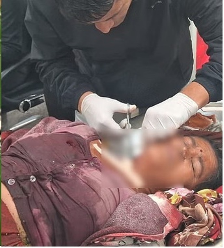  शौच के लिए जा रही महिला पर गुलदार ने किया हमला,हालत गंभीर