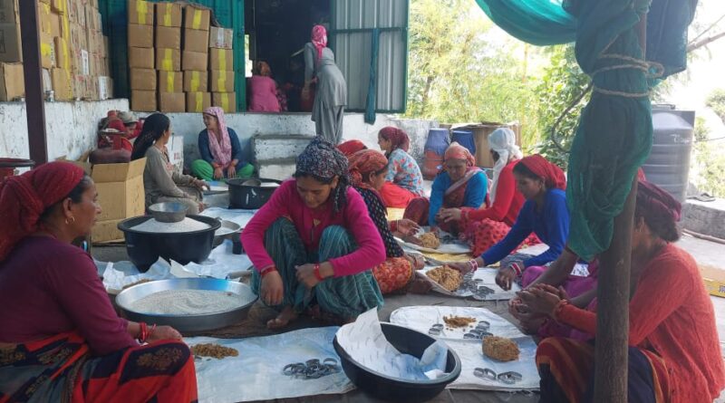 केदारनाथ यात्रा से महिला समूहों को मिल रहा कारोबार