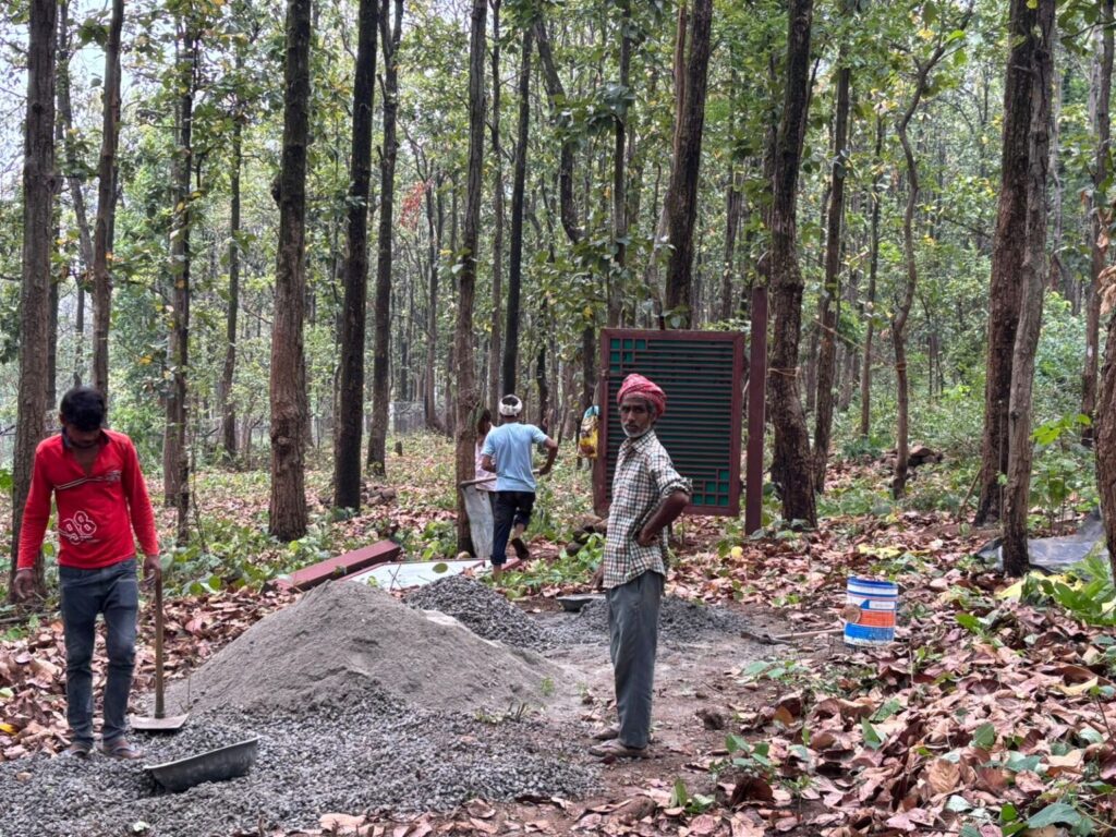 ग्रामीणों ने भू-माफिया का जंगल से कब्जा हटाया,डीएफओ, रेंजर व फारेस्टर को सस्पेंड करने की मांग