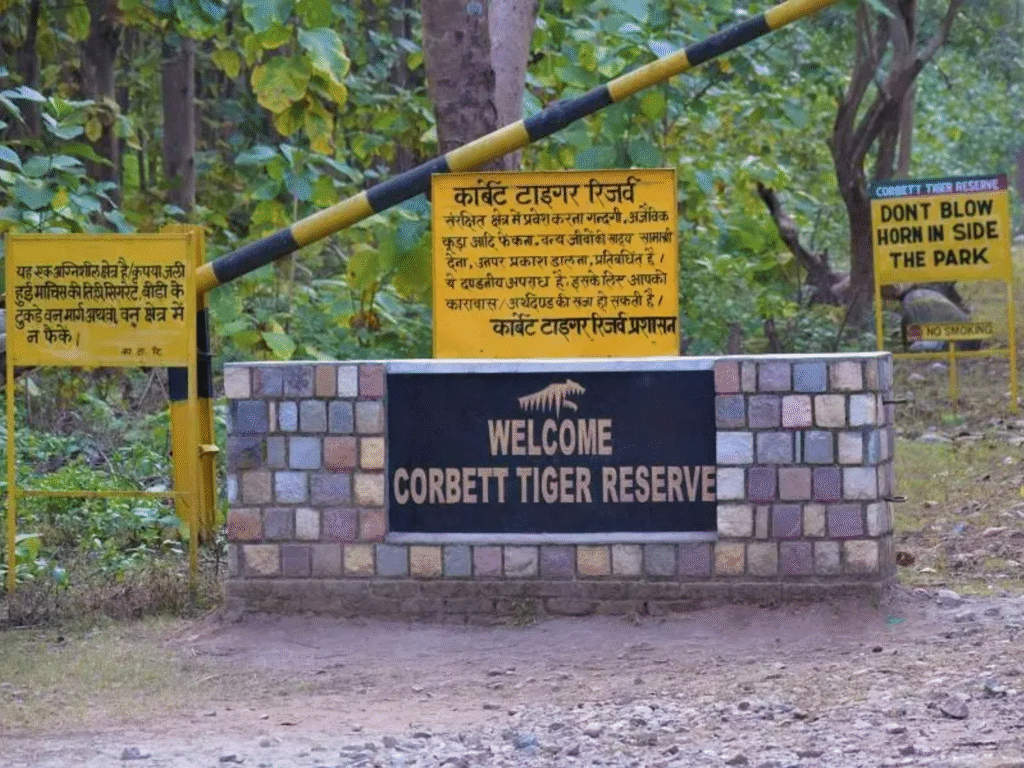कॉर्बेट टाइगर रिजर्व में अगले आदेश तक सफारी बंद, भारी बारिश के चलते लिया फैसला