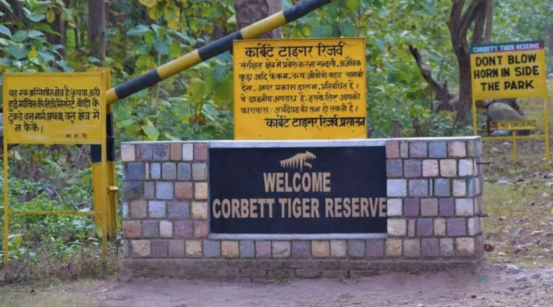 कॉर्बेट टाइगर रिजर्व में अगले आदेश तक सफारी बंद, भारी बारिश के चलते लिया फैसला