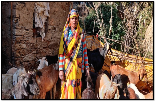 बवाई गांव की रूपदेई देवी ने पेश की आत्मनिर्भरता की नई मिसाल, बकरी पालन को बनाया आर्थिकी का जरिया