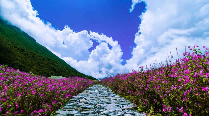 पर्यटकों की आवाजाही के लिए फूलों की घाटी बंद,इस बार कम रही सैलानियों की संख्या