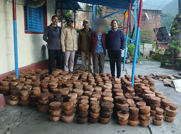 दो तस्कर गिरफ्तार, भारी मात्रा में प्रतिबंधित काजल-काठ लकड़ी बरामद