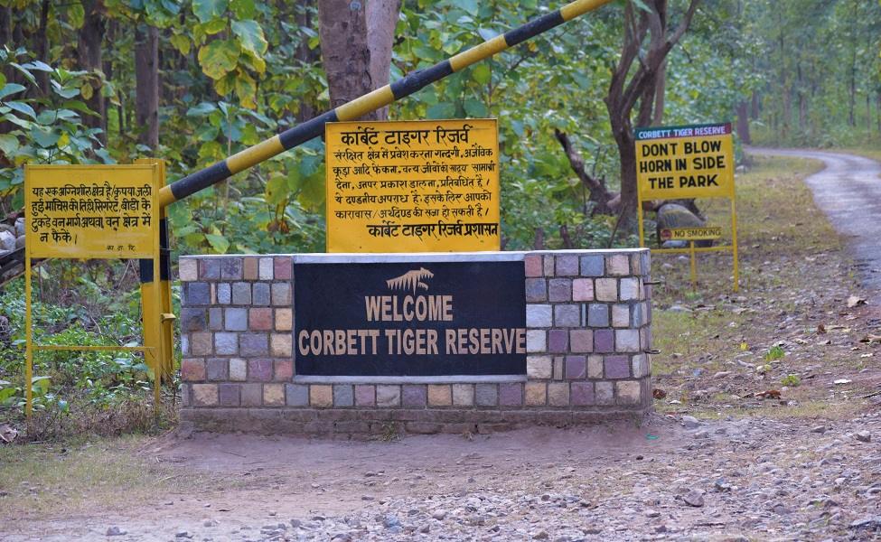पर्यटकों को तंबाकू और चीतल का मांस ऑफर प्रकरण में नेचर गाइड पर गिरी गाज