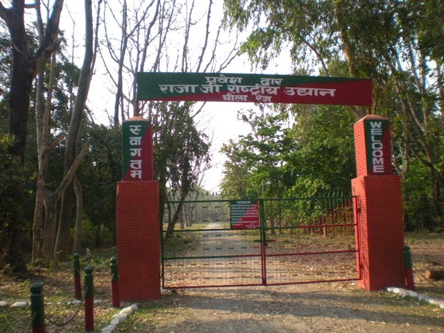 पर्यटकों के लिए खुला राजाजी टाइगर रिजर्व