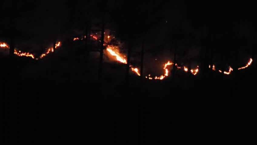 आग से धधक रहे हैं उत्तरकाशी के जंगल, बहुमूल्य वन संपदा हो रही खाक