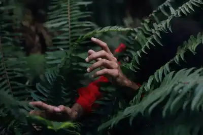 घूमने निकला युवक जंगल में भटक गया, पुलिस व एसडीआरएफ ने खोज निकाला सकुशल