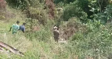 उत्तराखंड में सड़क हादसा: अनियंत्रित कार गहरी खाई में गिरी, एक महिला की मौत,चार घायल