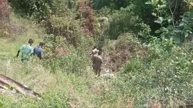 उत्तराखंड में सड़क हादसा: अनियंत्रित कार गहरी खाई में गिरी, एक महिला की मौत,चार घायल