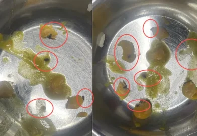 दून मेडिकल कॉलेज मेस में परोसी गई ‘कीड़ों वाली सब्जी’, खाना खाते ही छात्रों में मचा हड़कंप