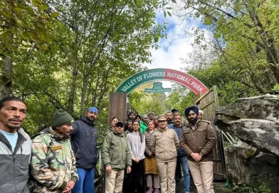 इंतजार खत्म! पर्यटकों के दीदार के लिए खुली विश्व प्रसिद्ध फूलों की घाटी