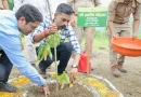 हरेला पर्व पर हरियाली का संकल्प: जिलाधिकारी डॉ0 आशीष चौहान ने किया वृक्षारोपण, कहा- पौधारोपण को बनाएं जन-आंदोलन