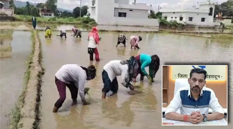 विलुप्त होती दून बासमती की खुशबू फिर लौटेगी; मुख्यमंत्री के संकल्प, जिला प्रशासन की पहल और किसानों की मेहनत से पारंपरिक बासमती के पुनर्जीवन की जगी उम्मीद