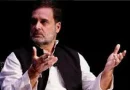 17 जुलाई को देहरादून आएंगे राहुल गांधी, ‘छात्रों की गूंज’ कार्यक्रम में युवाओं से करेंगे संवाद, कांग्रेस ने शुरू की तैयारियां