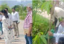 सीएम धामी के विजन को धरातल पर उतार रहा एमडीडीए, सिटी फॉरेस्ट के बाद मियांवाला में एक और पर्यावरणीय तोहफा