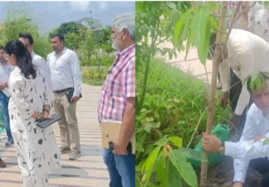 सीएम धामी के विजन को धरातल पर उतार रहा एमडीडीए, सिटी फॉरेस्ट के बाद मियांवाला में एक और पर्यावरणीय तोहफा