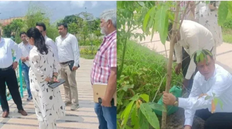 सीएम धामी के विजन को धरातल पर उतार रहा एमडीडीए, सिटी फॉरेस्ट के बाद मियांवाला में एक और पर्यावरणीय तोहफा
